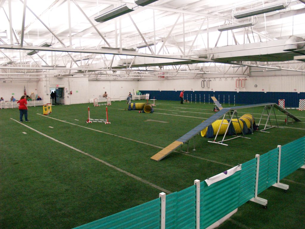 indoor dog agility near me